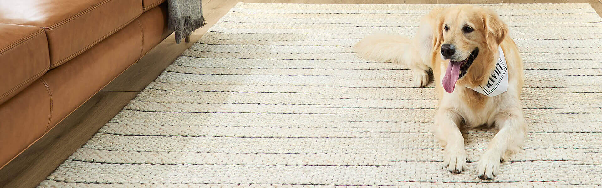 Lavin | 25% Off Entire Line | ends 9.21