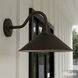 Skyflow 1 Light 10.6 inch Matte Bronze Outdoor Wall Light, Medium