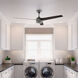 Cassius 60 inch Matte Silver with Matte Silver/Black Willow Blades Outdoor Ceiling Fan