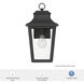 Spring Cove 1 Light 15 inch Matte Black Outdoor Wall Lantern, Medium