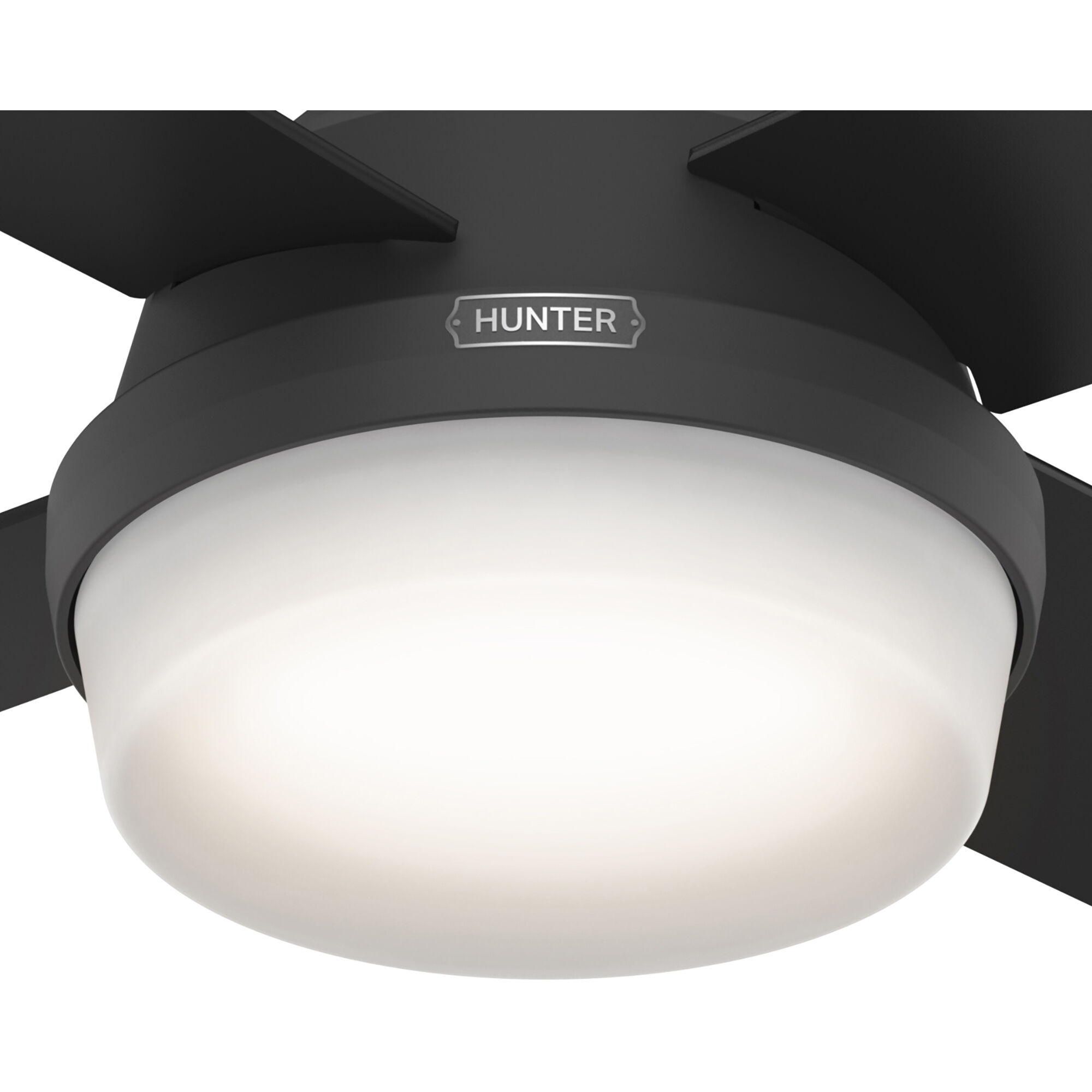 Dempsey 44 inch Matte Black with Matte Black/Dark Gray Oak Blades Ceiling Fan