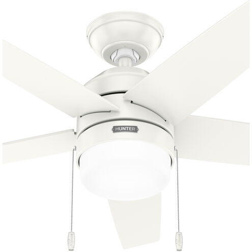 Bardot 44 inch Fresh White with Fresh White/Light Oak Blades Ceiling Fan