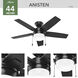 Anisten 44 inch Matte Black with Matte Black/Dark Gray Oak Blades Ceiling Fan
