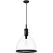 Van Nuys 1 Light 16 inch Matte Black Pendant Ceiling Light, Small