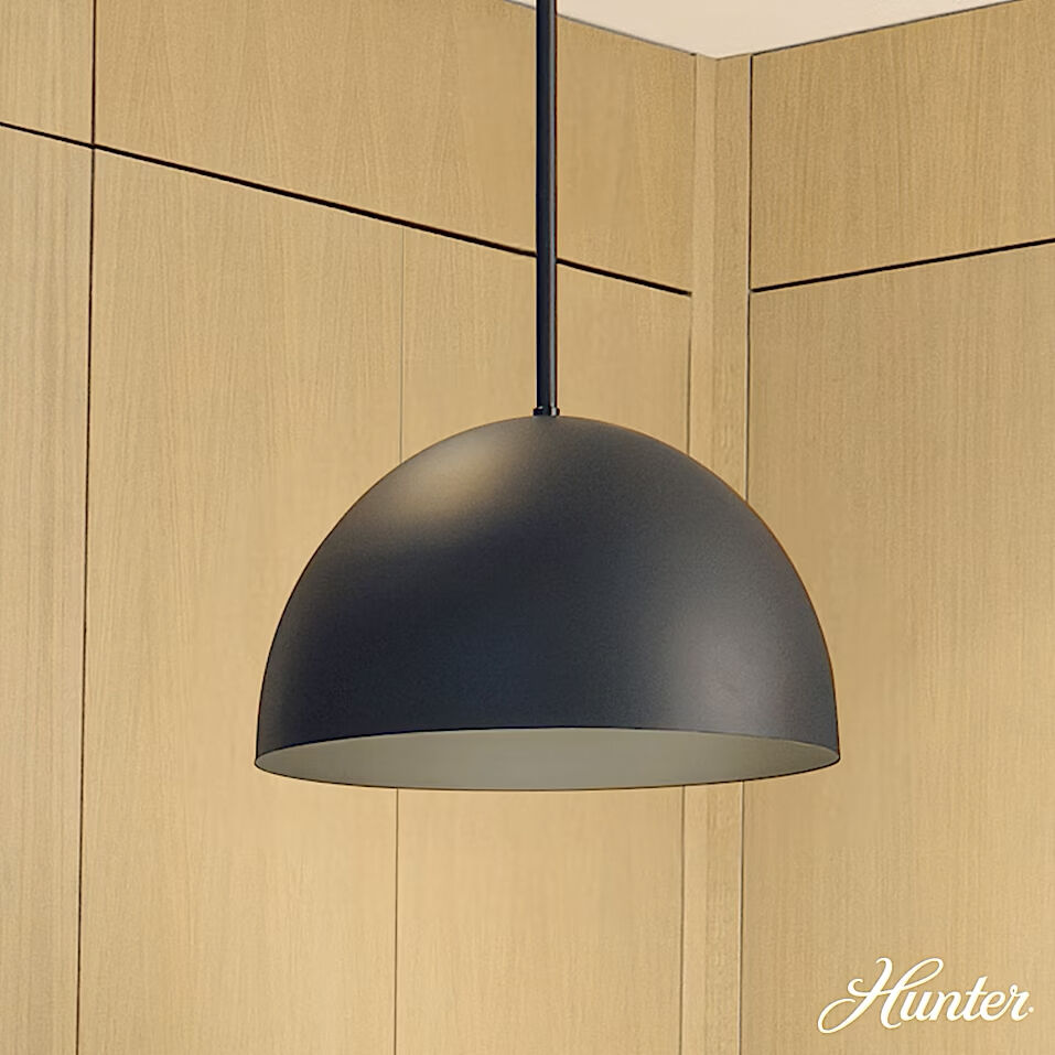 Erling 1 Light 14 inch Matte Black Pendant Ceiling Light, Medium