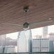 Cassius 60 inch Matte Silver with Matte Silver/Black Willow Blades Outdoor Ceiling Fan