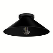 Outdoor Ceiling Lights