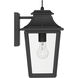 Spring Cove 1 Light 15 inch Matte Black Outdoor Wall Lantern, Medium
