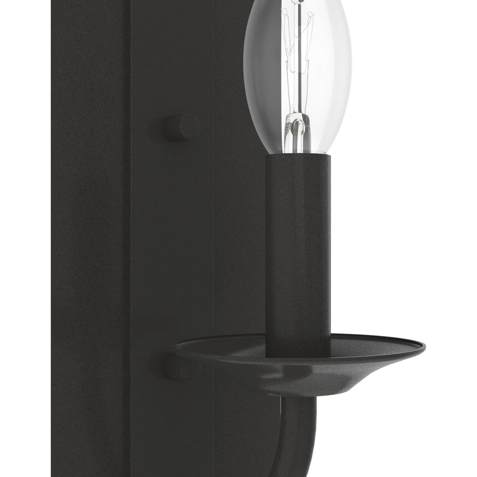 Perch Point 10 inch Wall Sconce Wall Light