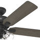 Rosner 52 inch Matte Black with Greyed Walnut/Salted Black Blades Ceiling Fan