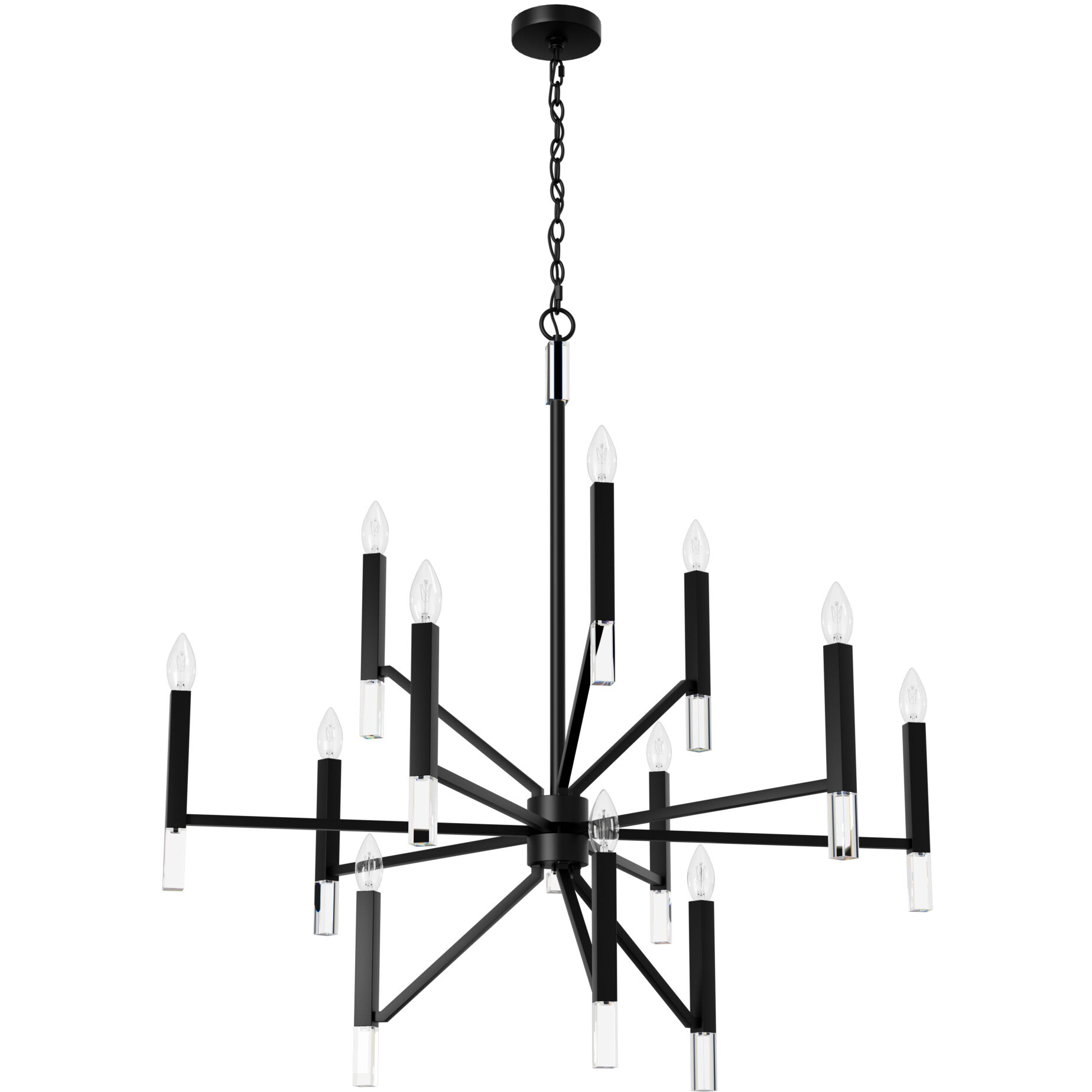 Sunjai 12 Light 40 inch Matte Black Chandelier Ceiling Light