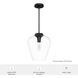 Vidria 1 Light 12 inch Matte Black Pendant Ceiling Light, Medium