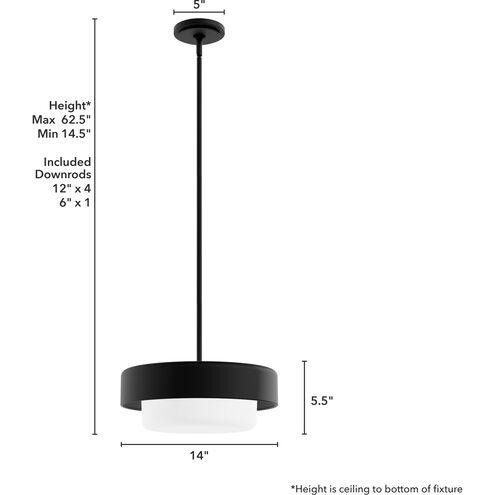 Station 2 Light 14 inch Natural Black Iron Pendant Ceiling Light, Small