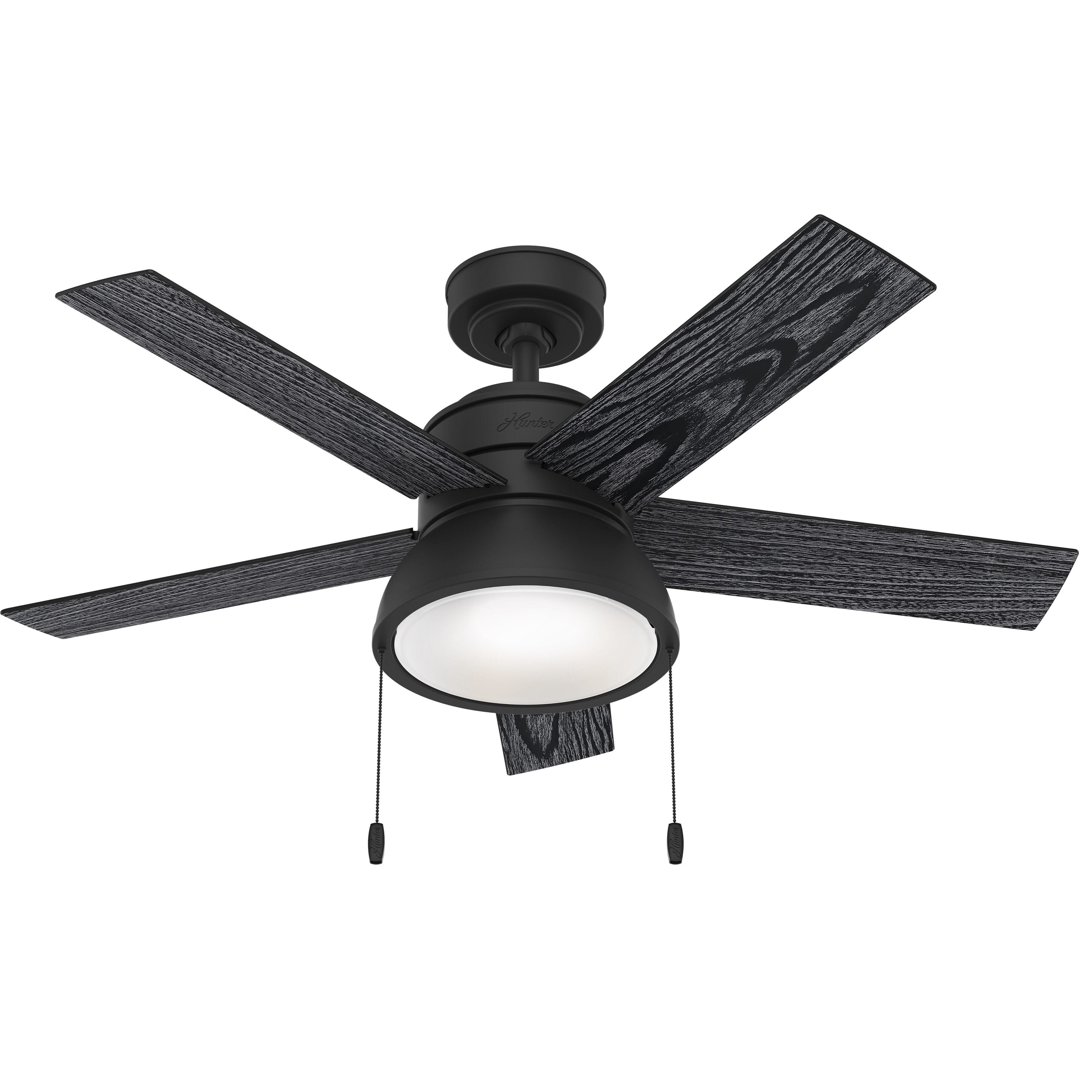 Lilliput 44 inch Matte Black with Salted Black and Matte Black Blades Ceiling Fan