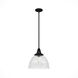Cypress Grove 1 Light 13 inch Natural Iron Pendant Ceiling Light