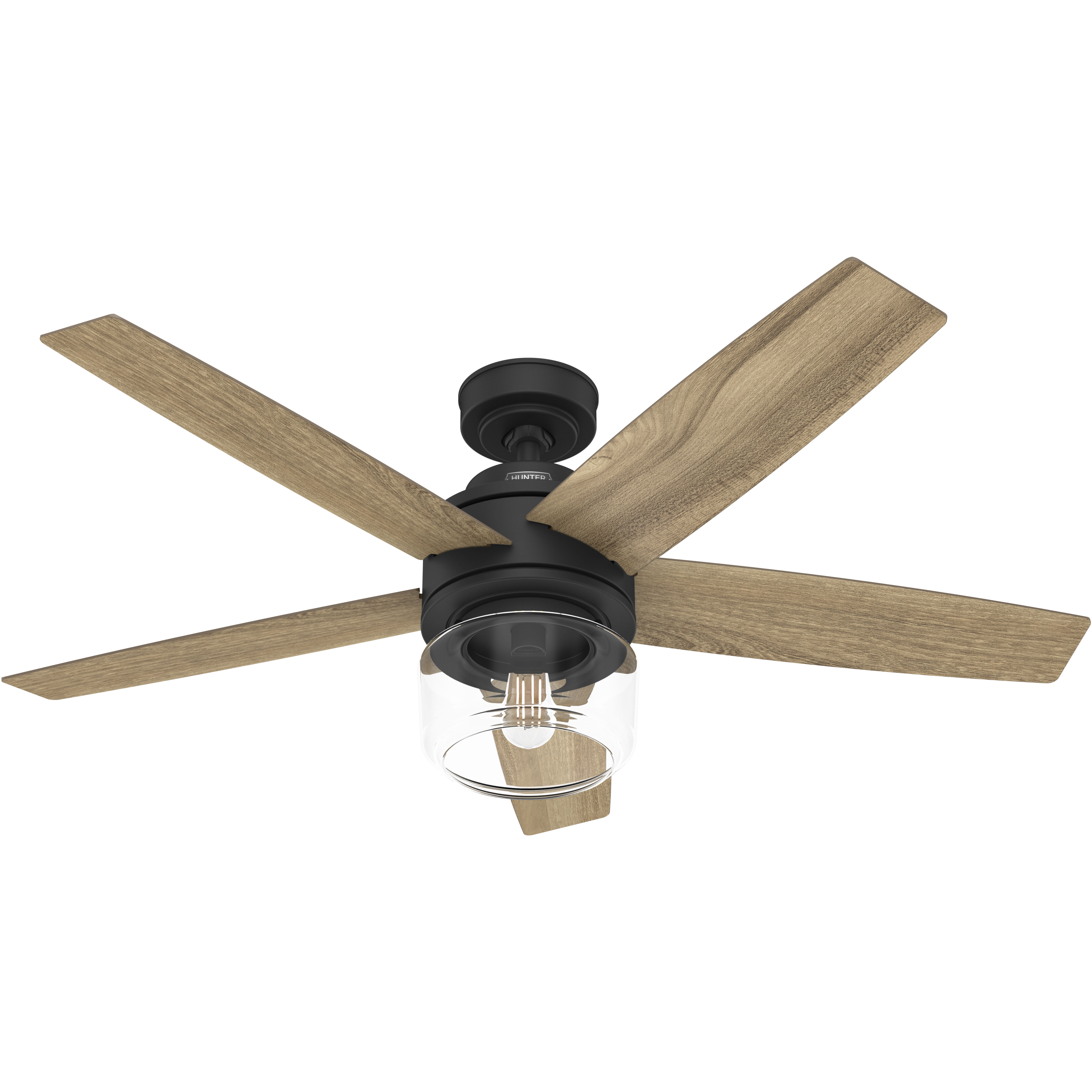 Margo 52 inch Matte Black with Golden Maple Blades Ceiling Fan