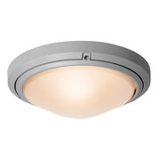 Outdoor Ceiling Lights