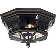 Outdoor Ceiling Lights