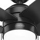 Bardot 44 inch Matte Black with Matte Black/Greyed Walnut Blades Ceiling Fan