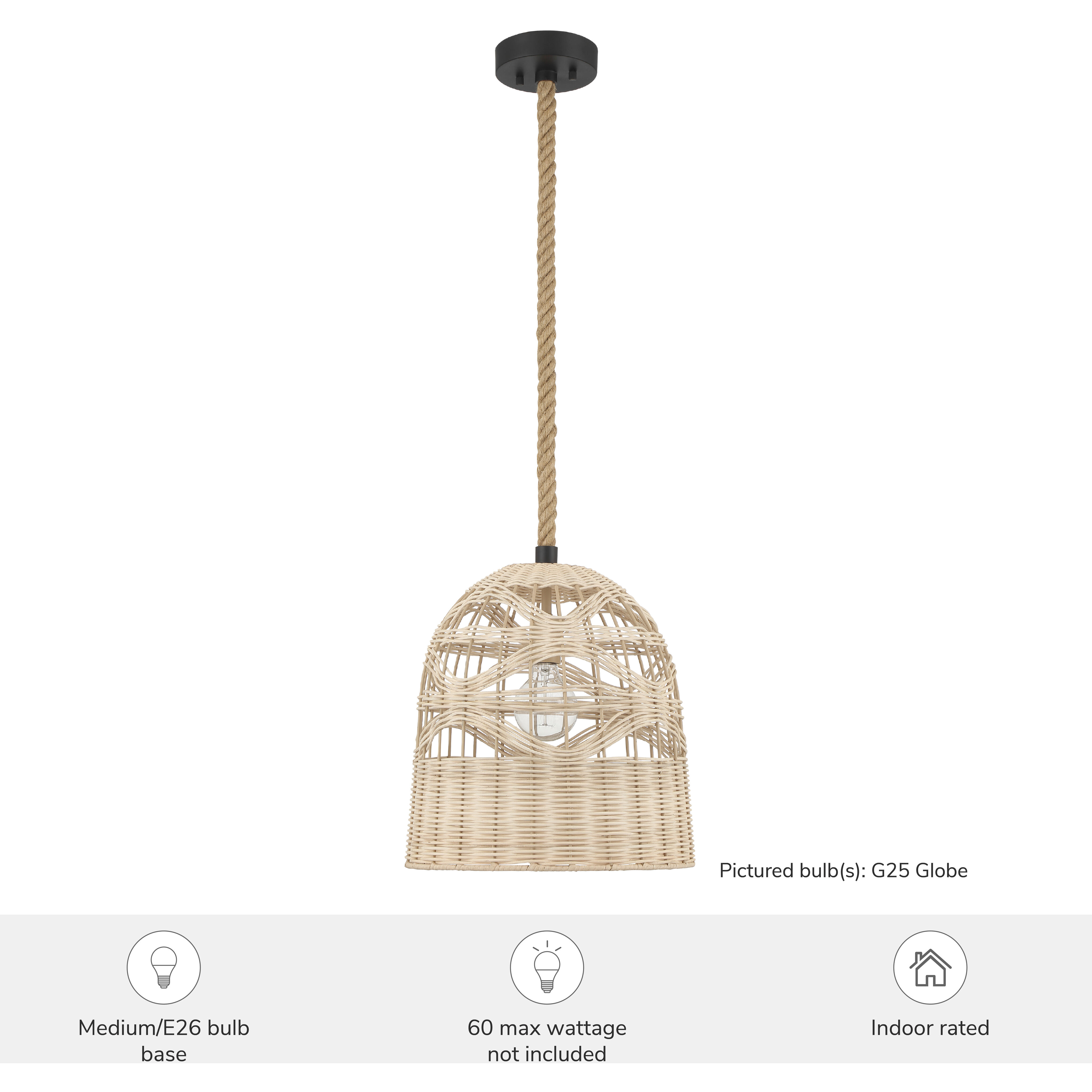 Baskel 1 Light 14.25 inch Matte Black Pendant Ceiling Light, Large