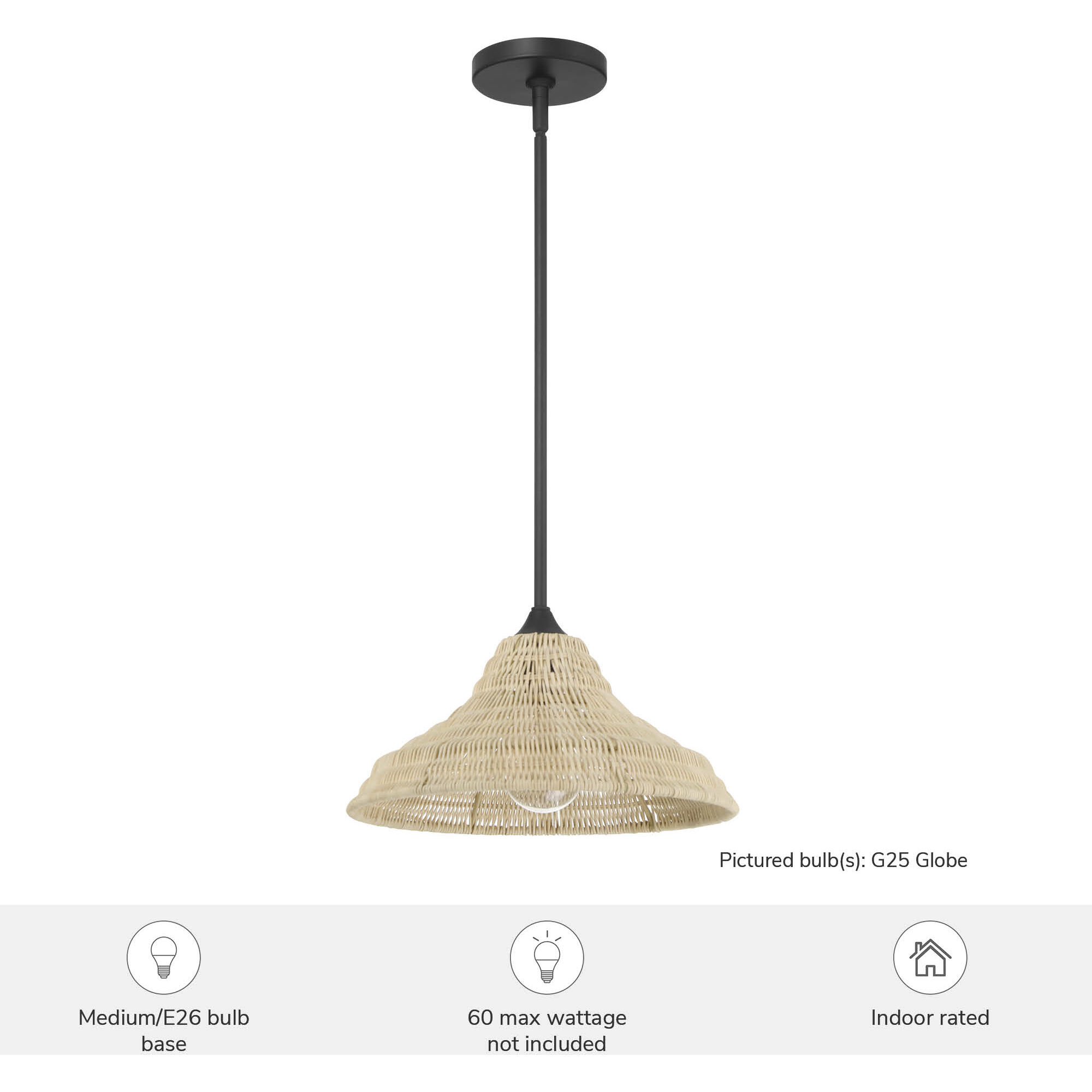 Agoura 1 Light 14 inch Matte Black Pendant Ceiling Light, Medium