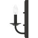 Perch Point 10 inch Wall Sconce Wall Light