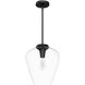 Vidria 1 Light 12 inch Matte Black Pendant Ceiling Light, Medium