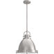 Bridgemoor 2 Light 14 inch Brushed Nickel Pendant Ceiling Light
