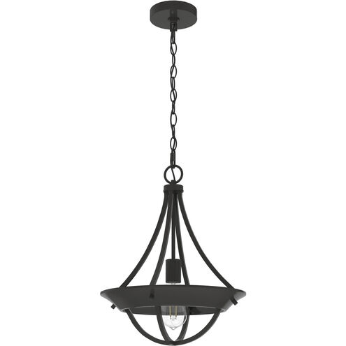 Perch Point 14 inch Pendant Ceiling Light