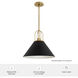 Carrington Isle 1 Light 16.25 inch Flat Matte Black and Luxe Gold Pendant Ceiling Light, Large