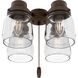 Original 4 Light Chestnut Brown Fan Fitter and Glass