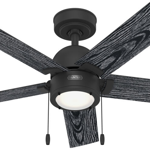 Erling 44 inch Matte Black with Salted Black/Matte Black Blades Ceiling Fan