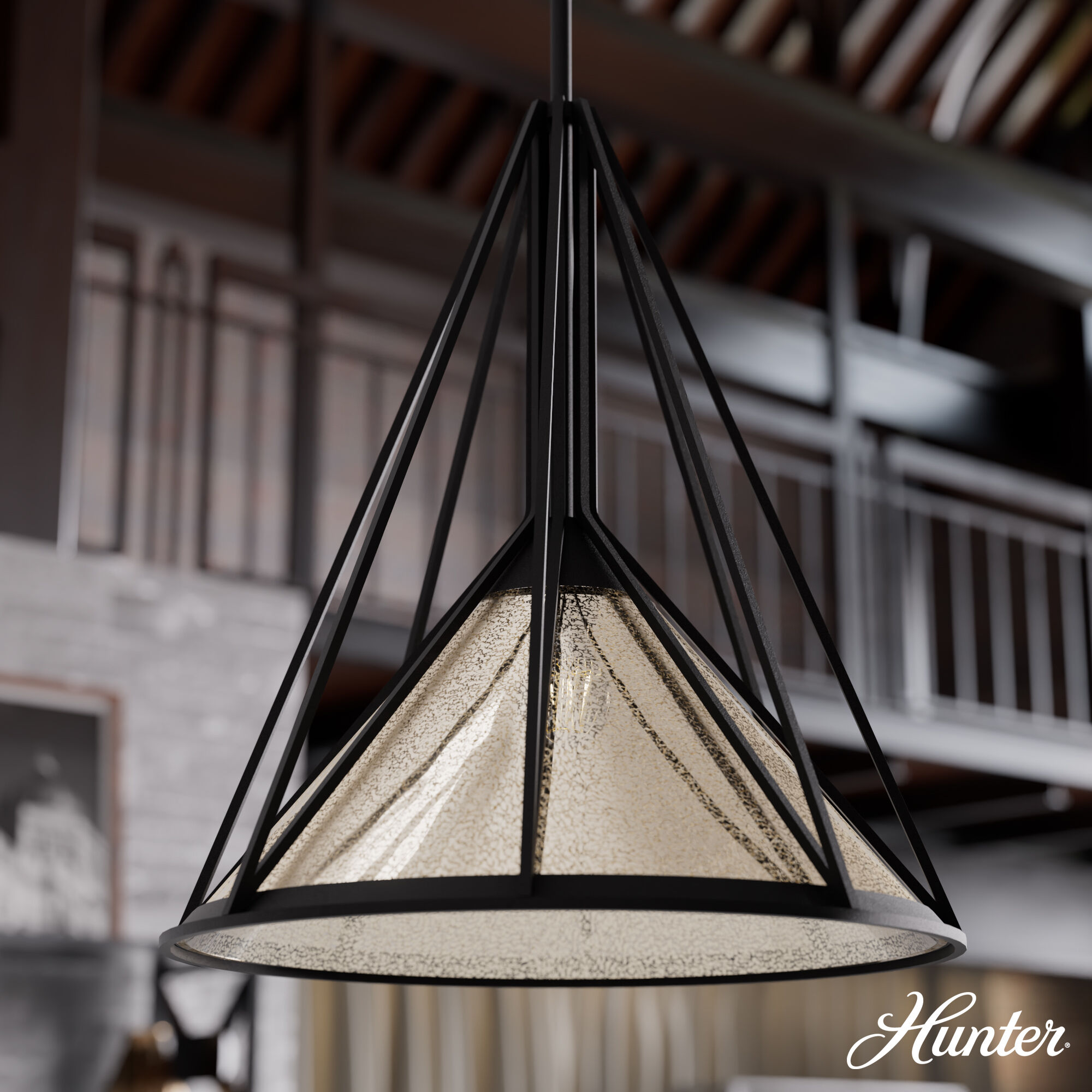 Rafner 1 Light 17 inch Natural Black Iron Pendant Ceiling Light