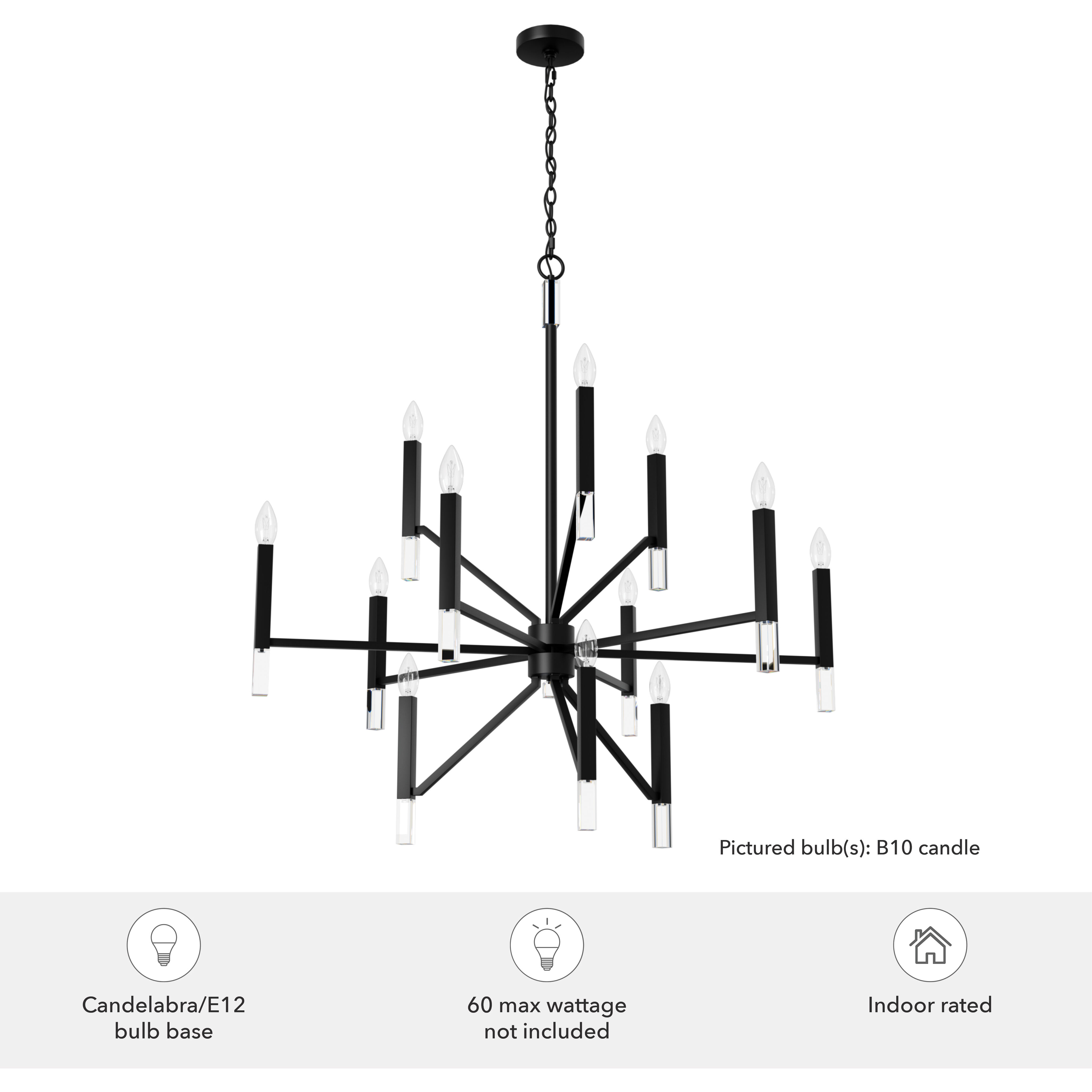 Sunjai 12 Light 40 inch Matte Black Chandelier Ceiling Light