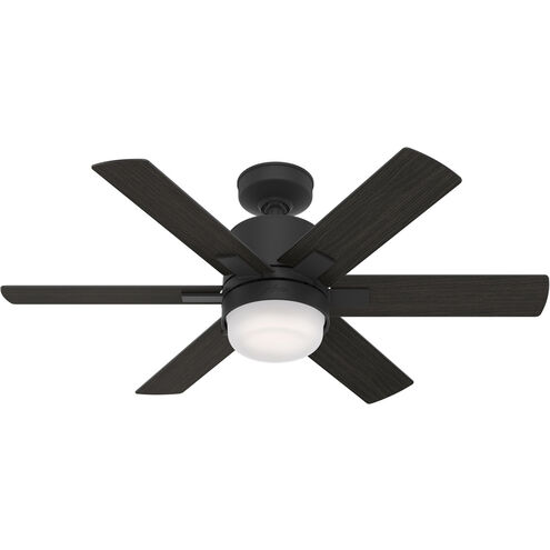 Radeon 44 inch Matte Black with Black Walnut/Matte Black Blades Ceiling Fan