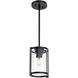 Astwood 1 Light 6 inch Matte Black Mini Pendant Ceiling Light