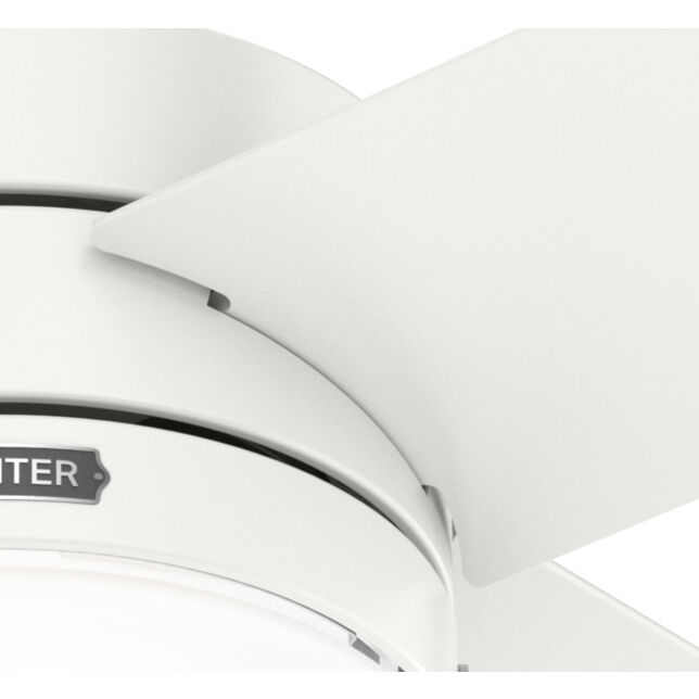 Timpani 52 inch Fresh White Ceiling Fan