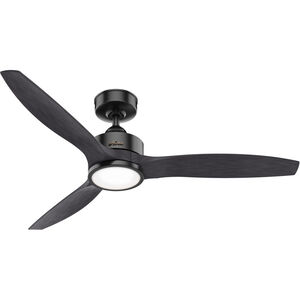 Park View 52 inch Matte Black with Black Ash Blades Outdoor Ceiling Fan